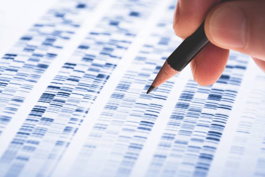 Pencil placed on print out of genetic information