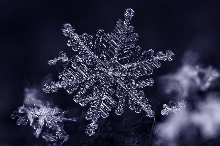 Close-up image of symmetrical snowflake