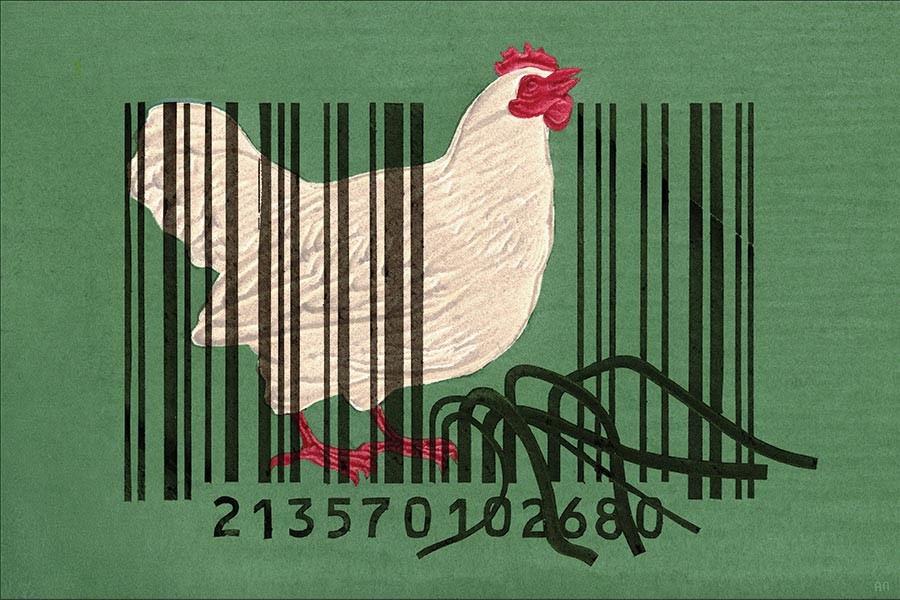 Illustration depicts a chicken encased in cage bars made out of barcode