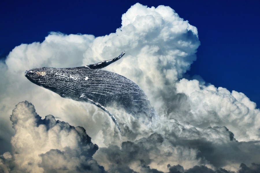A sparkling whale flops backwards on a background of fluffy clouds and blue sky.