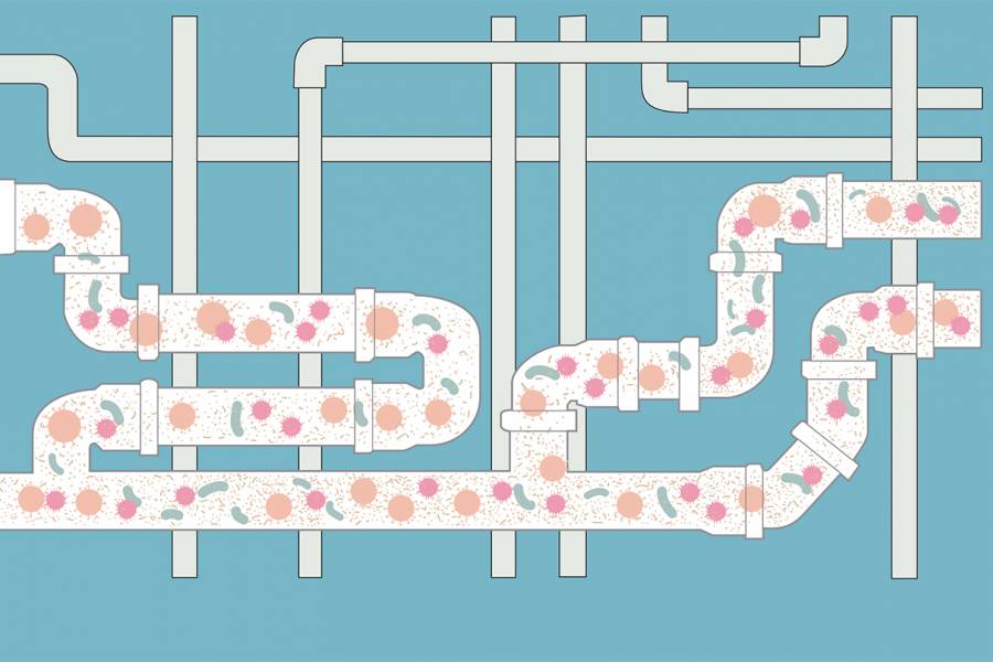illustration of bacteria and viruses flowing through pipes