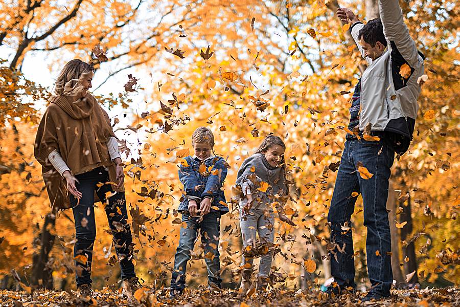Playful family throwing autumn leaves in the air