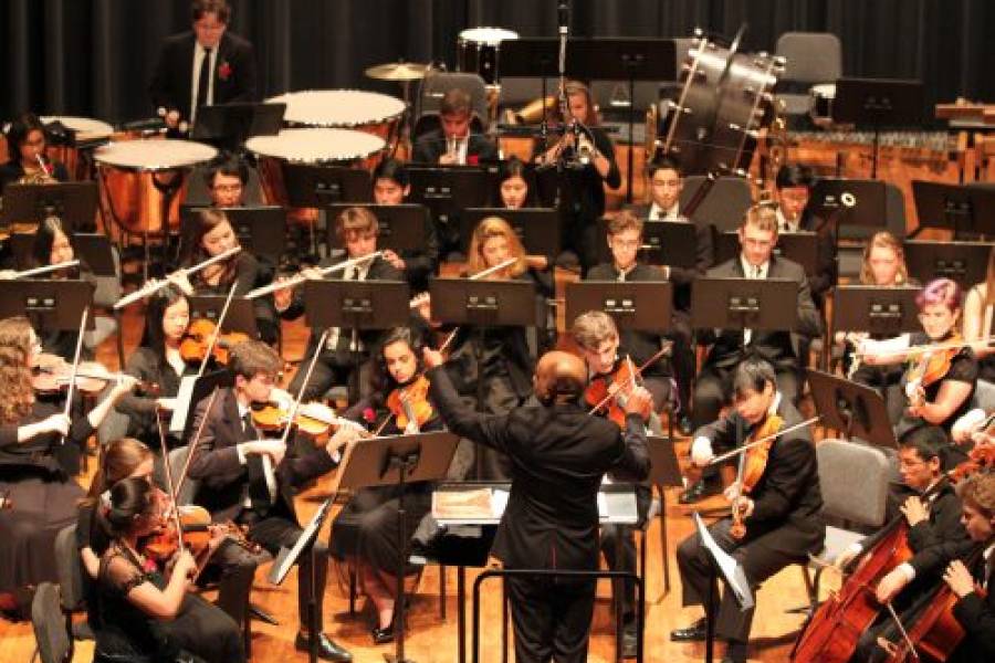 Youth Orchestra