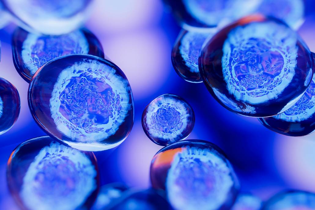 Discovery illuminates how cell growth pathway responds to signals Hub