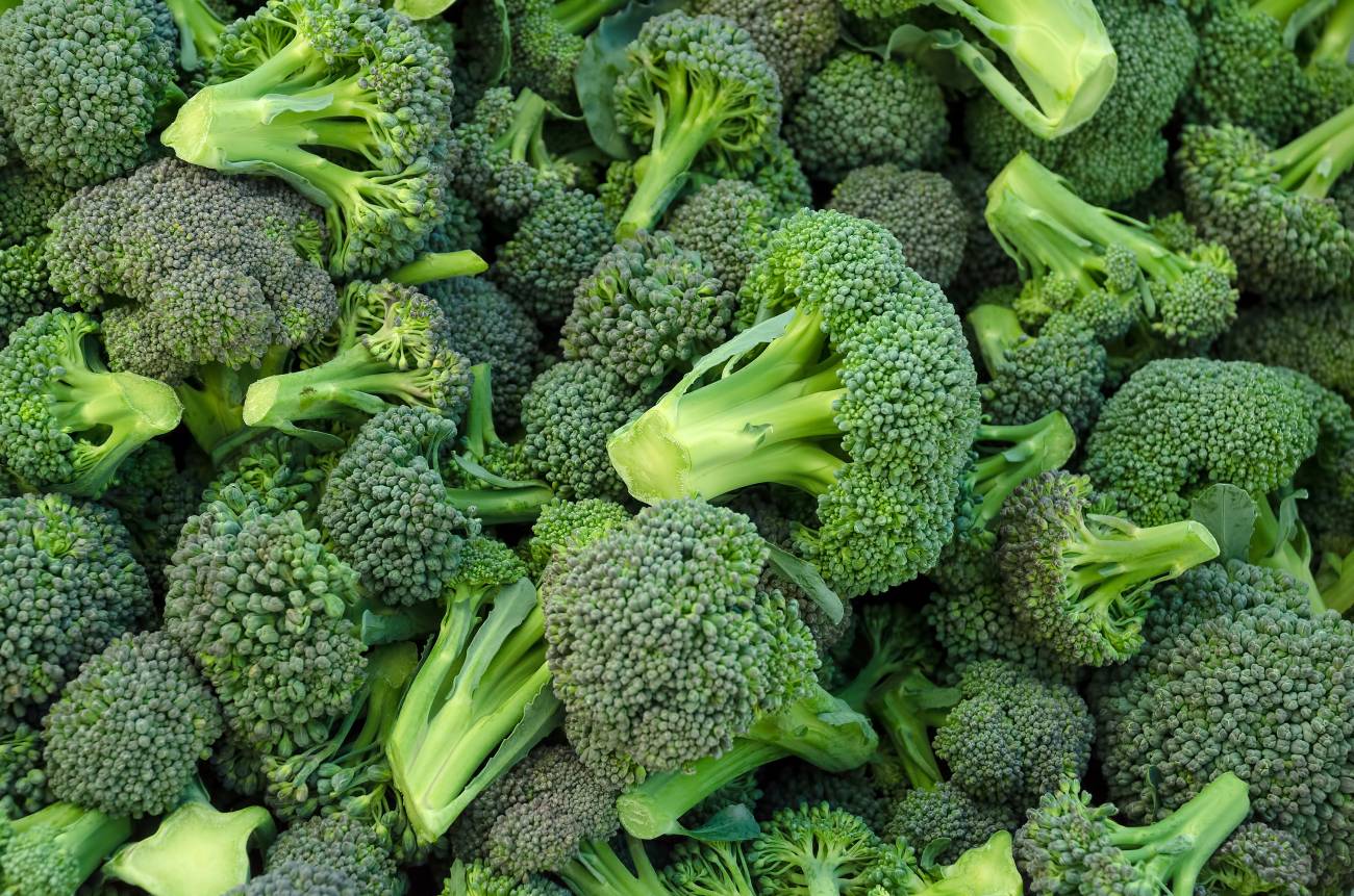 Pass the Broccoli  Johns Hopkins Medicine