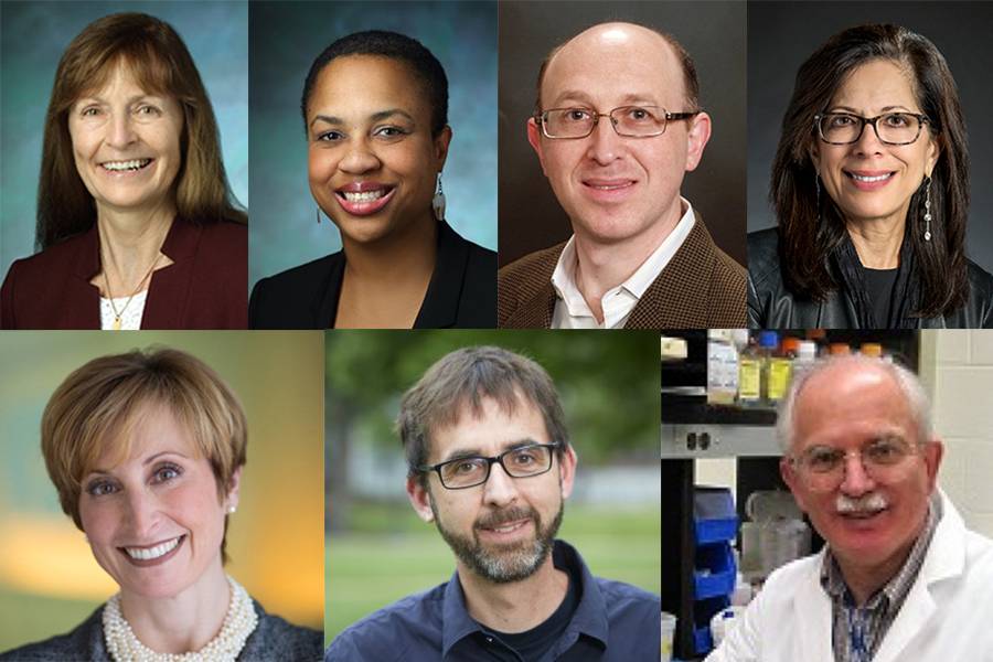 Seven Johns Hopkins Researchers Named AAAS Fellows | Hub