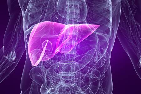 Researchers link elevated cadmium levels to increased risk of liver ...