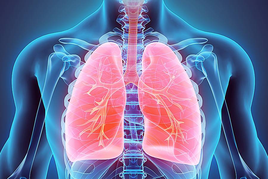 Medical Coding—Respiratory and Digestive Surgery Hub