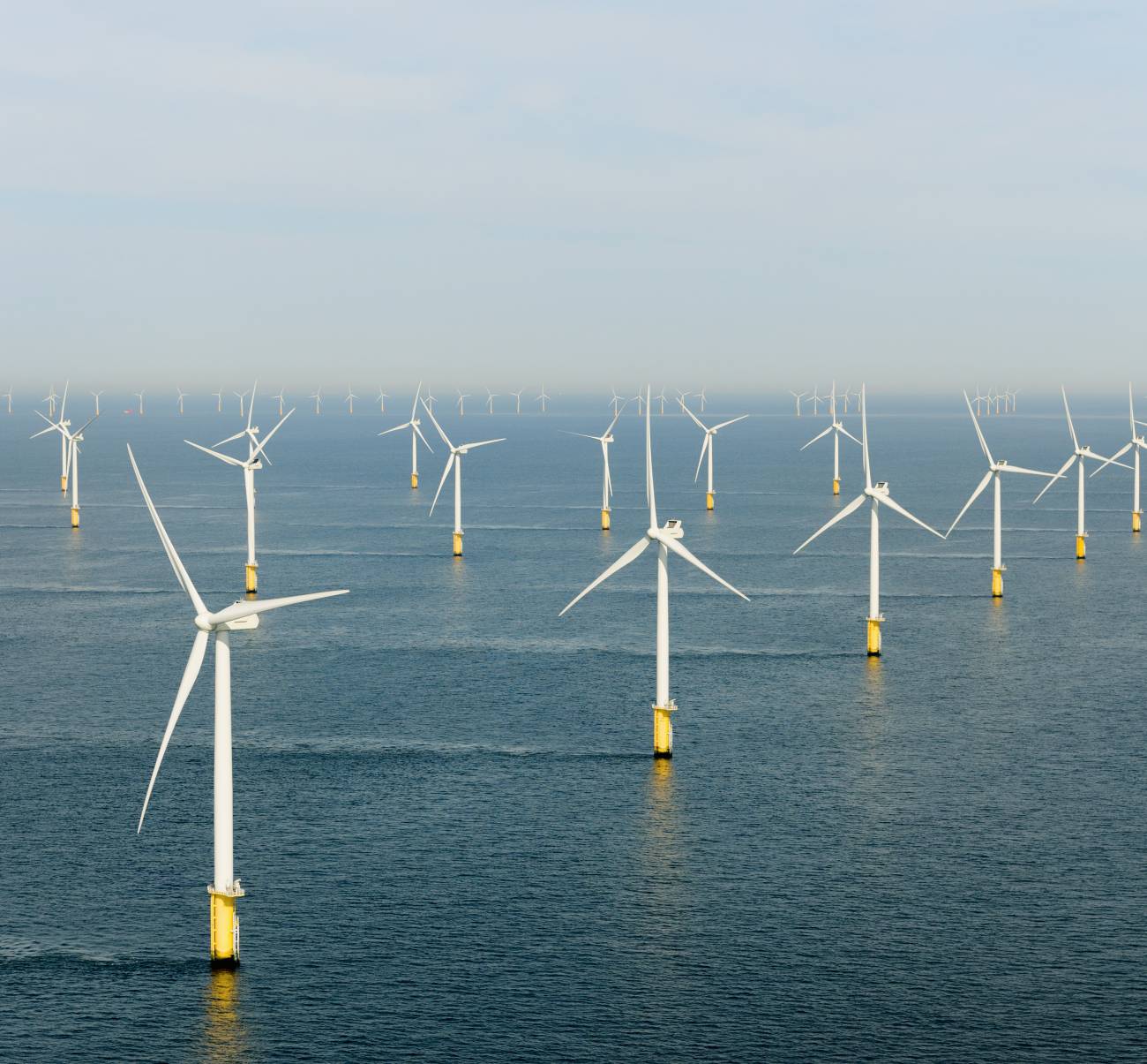 to catch the wind: aims to make offshore wind more efficient, powerful | Hub