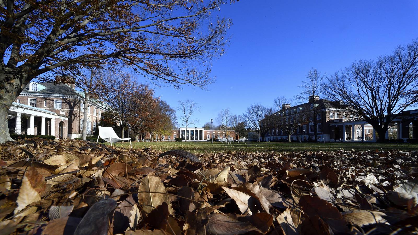 Johns Hopkins first members of Class of 2025 Hub