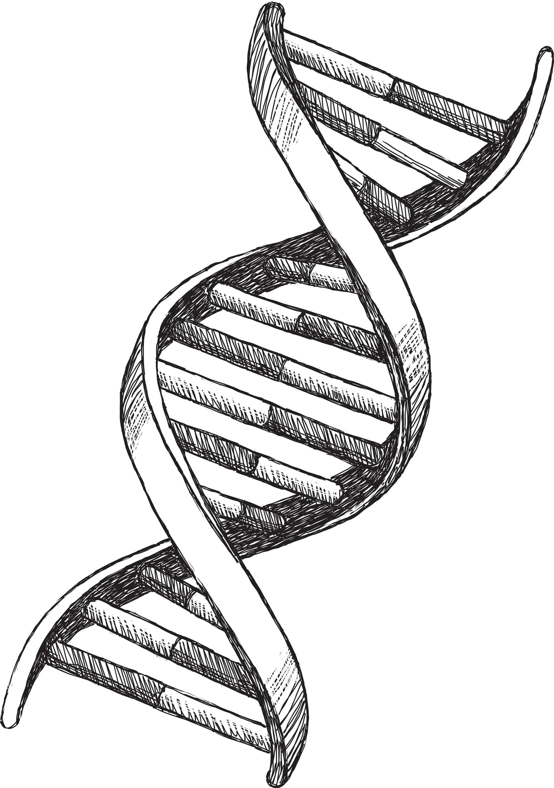 What Blood Test Detects Liver Damage