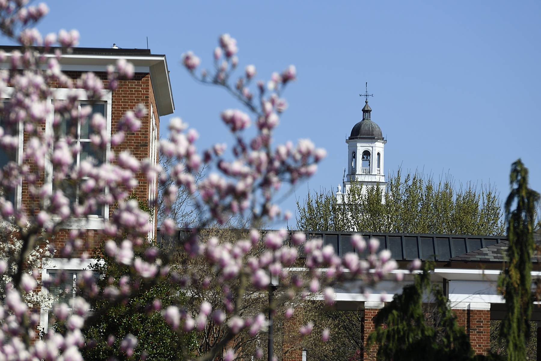 Johns Hopkins recognized for commitment to first-gen students | Hub