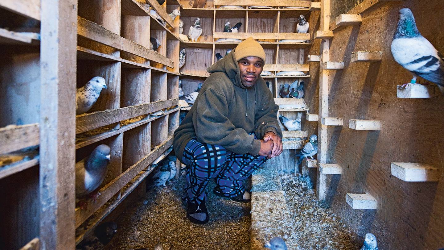 Photographing America S Back Row Hub