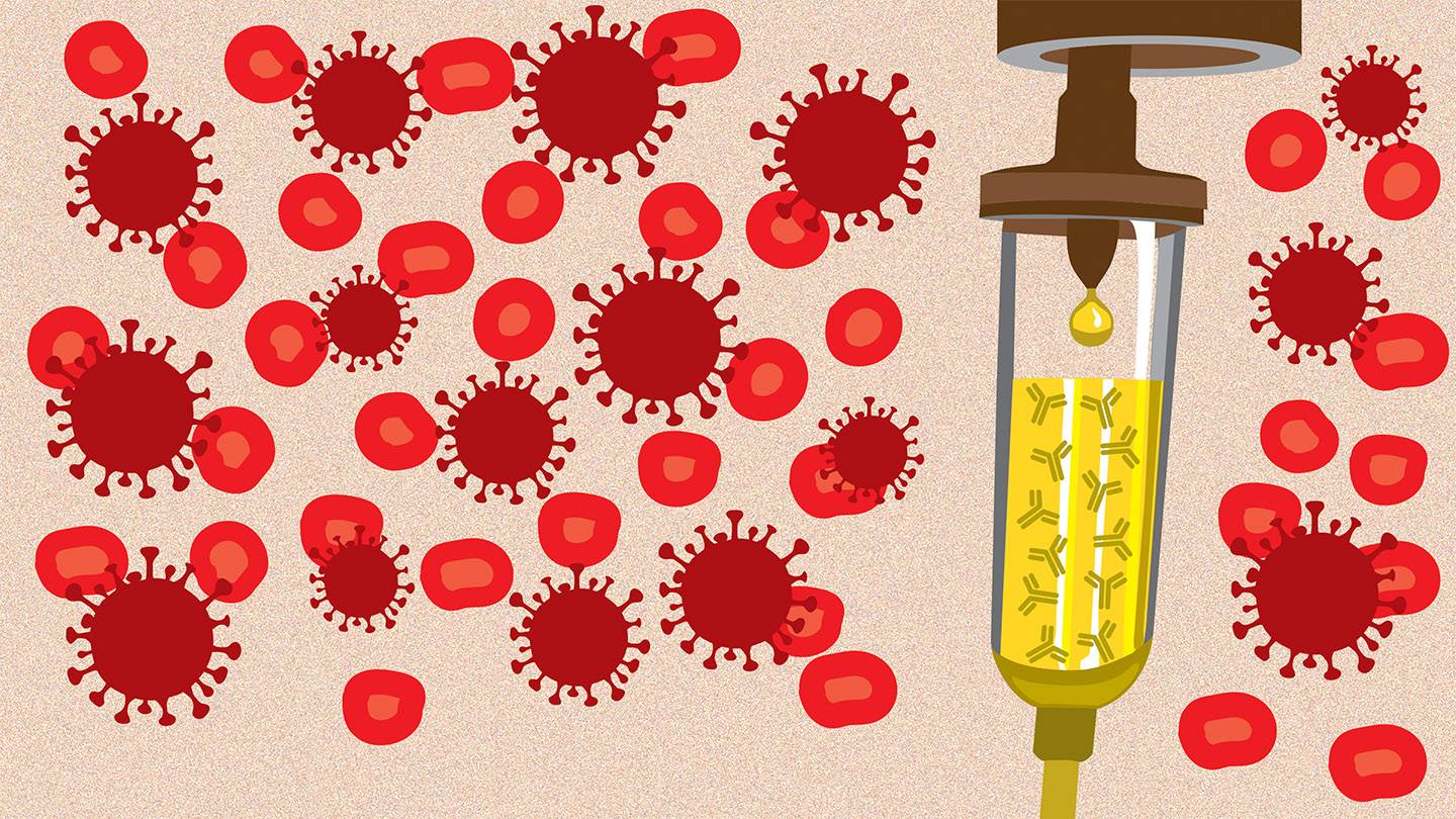 A Promising Covid 19 Treatment Gets Fast Tracked Hub