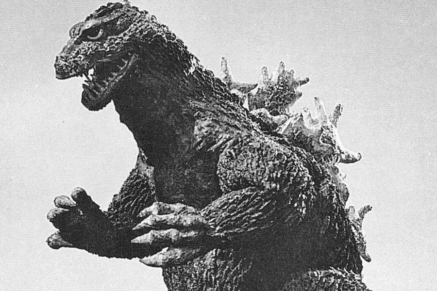 Ask An Expert Godzilla Nature And Man Hub