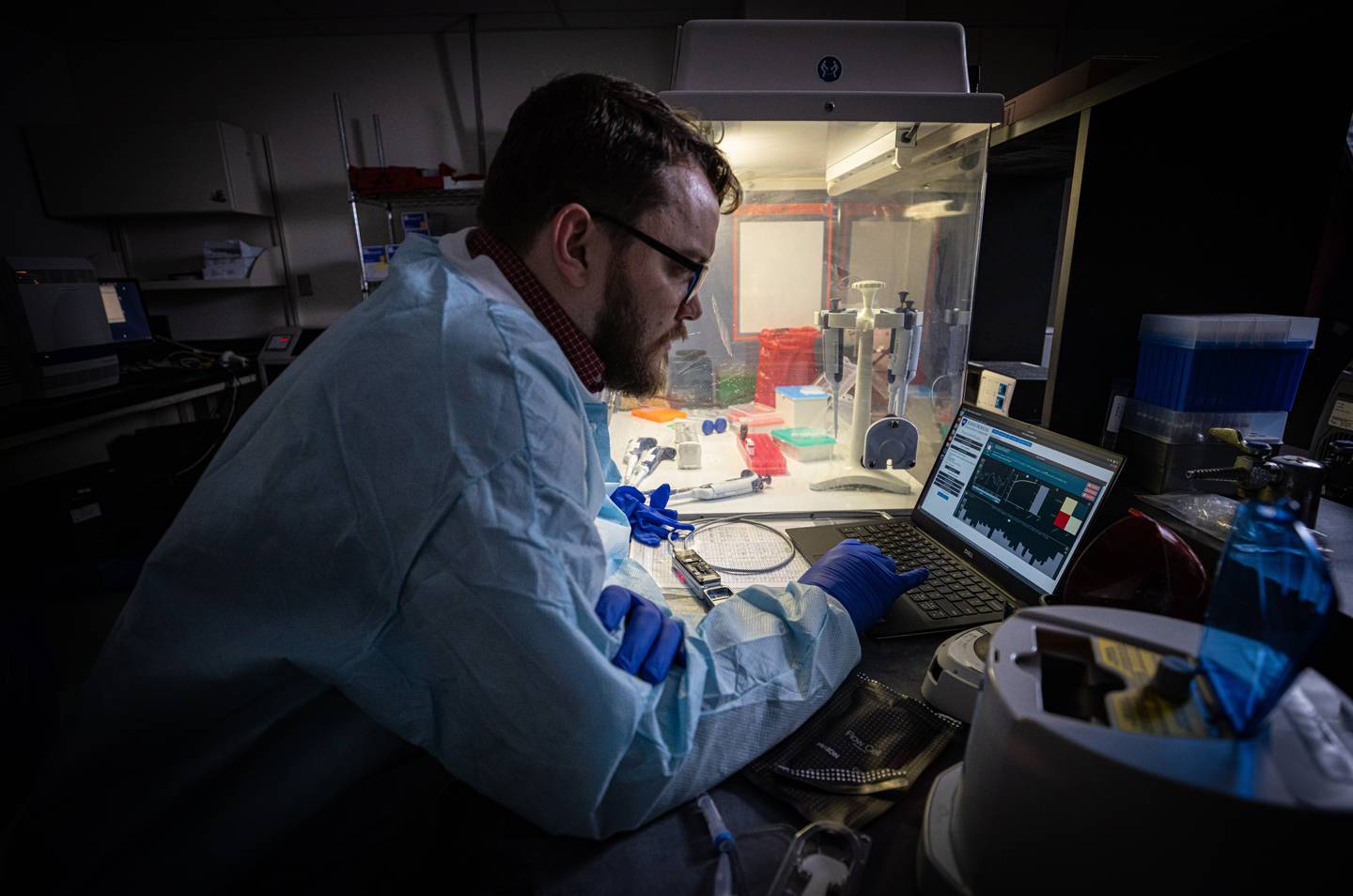 covid 19 genome sequence analysis