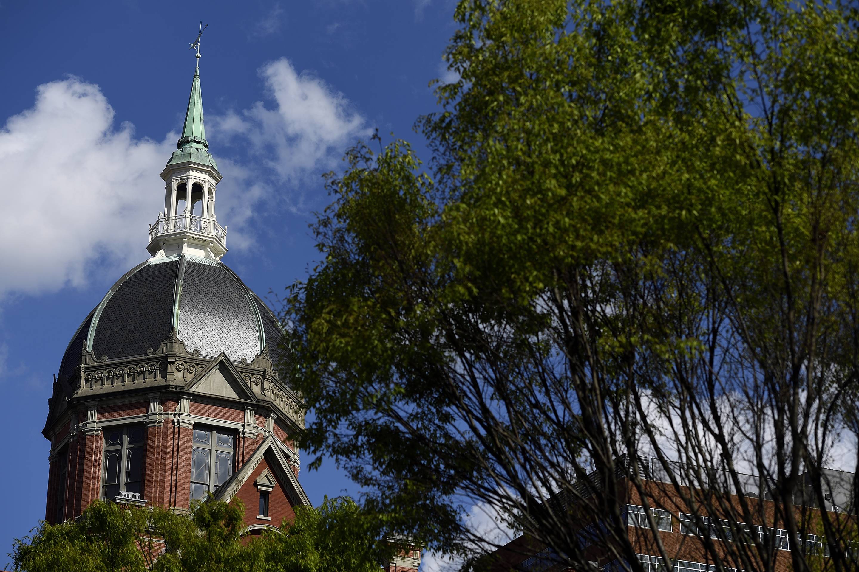 Johns Hopkins University Early Action Deadline - o4btxjn