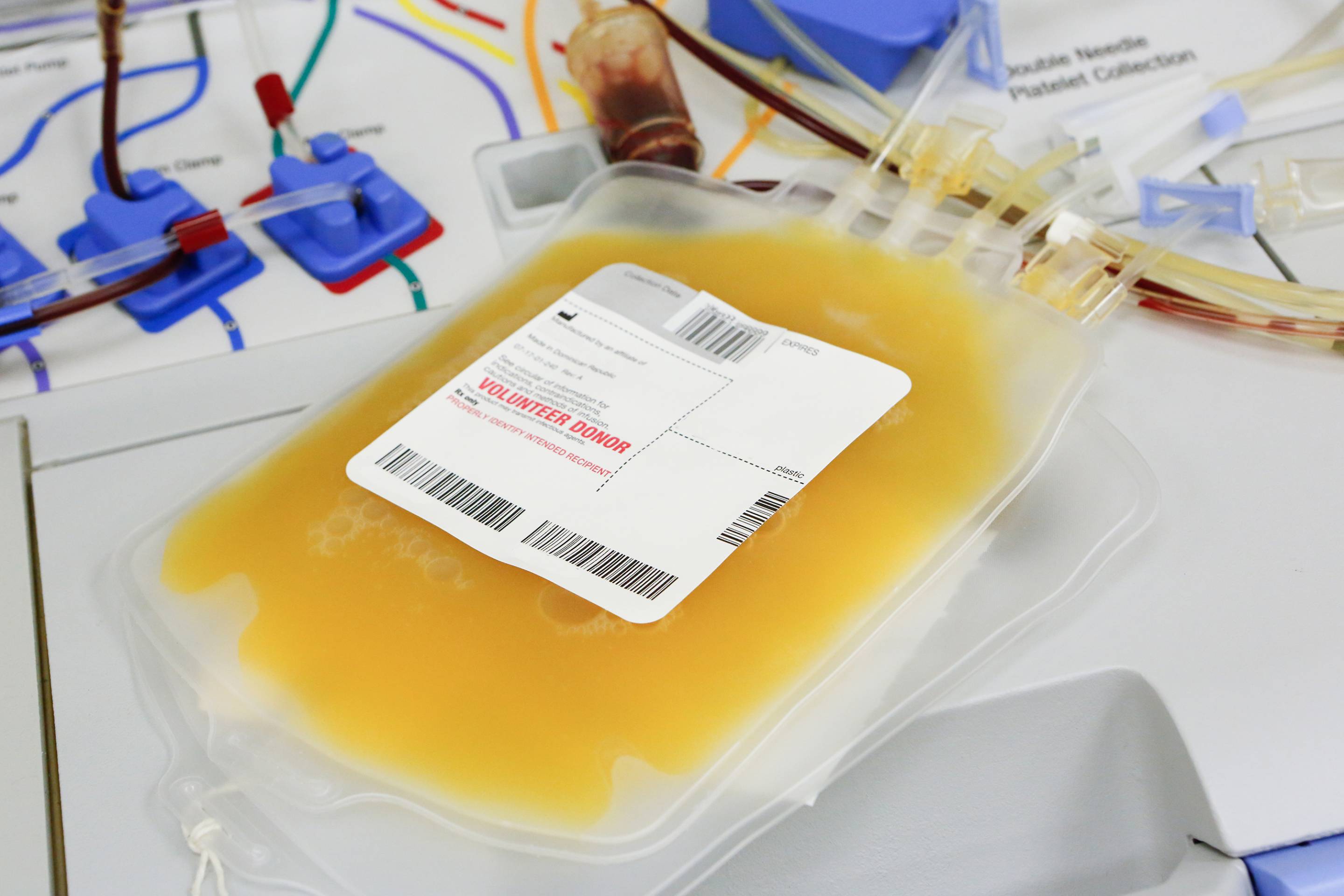 Plasma Donation: Needle Size And Your Comfort Level - msiuw89