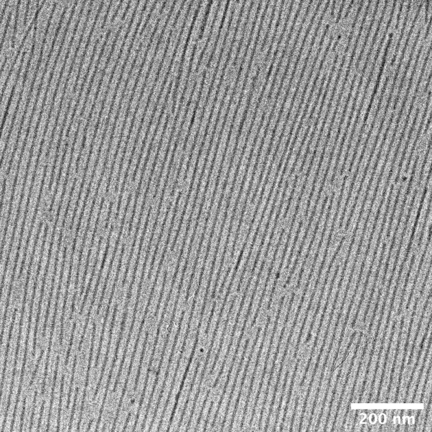 A microscopic image showing hydrogel filaments in nanoscales