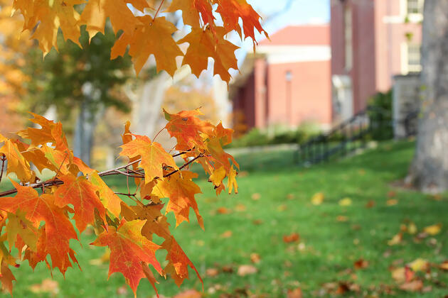 An academic building with autumn leaves in the foreground