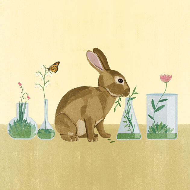 A bunny eats plants out of test tubes and lab equipment