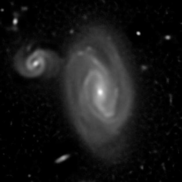 After the images have gone through the algorithm. 