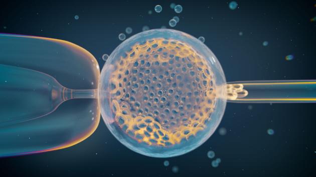 A routine IVF embryo biopsy for clinical genetic testing, which provided the large-scale genetic data analyzed in this study