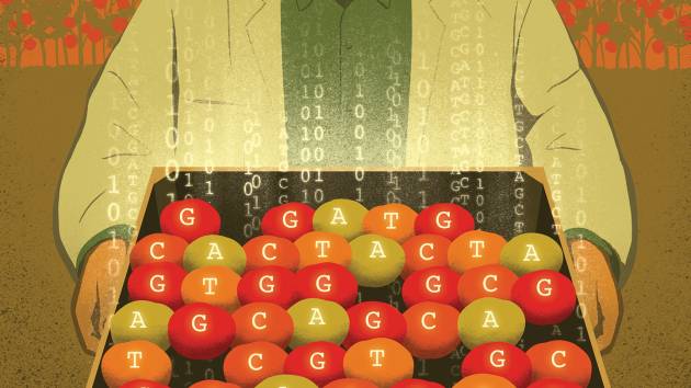 Illustration of scientist holding a box of tomatoes
