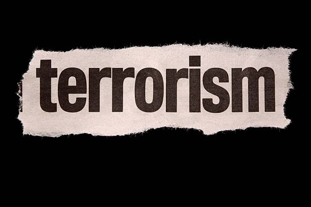 The truth about terrorism: Q&A with CEPAR's Christina Catlett and OEM's ...