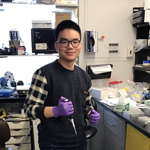 Alfred Chin at work in the Solomon Snyder lab